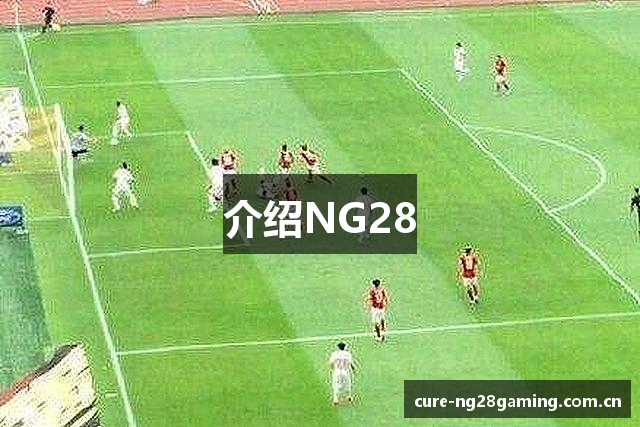 介绍NG28
